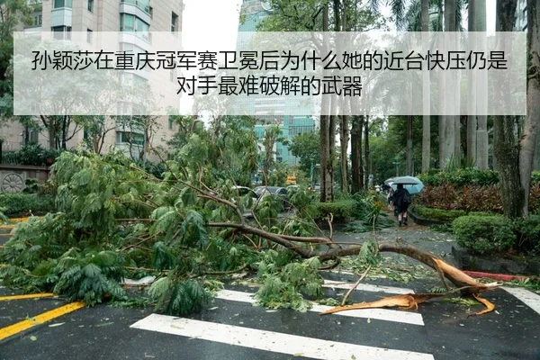 孙颖莎在重庆冠军赛卫冕后为什么她的近台快压仍是对手最难破解的武器
